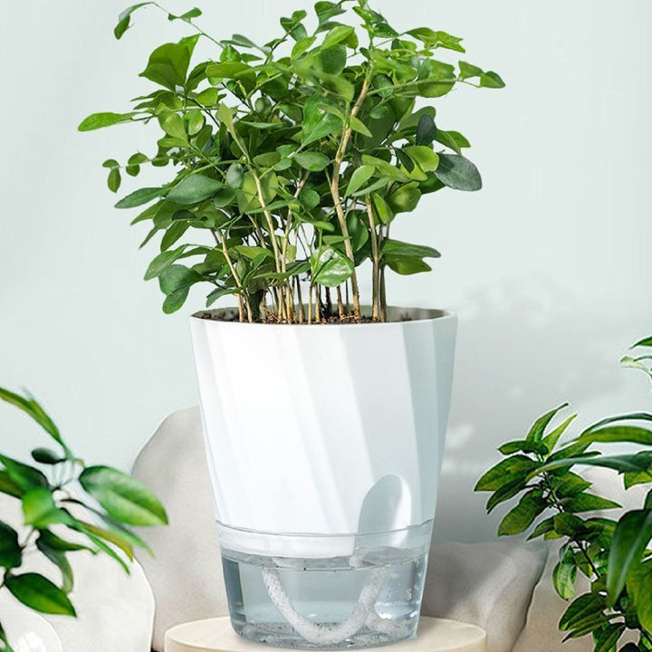 Efficient Self-Watering Transparent Planter