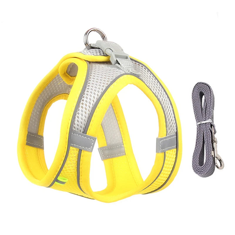 Adjustable Summer Mesh Harness and Leash Set for Small Dogs and Cats