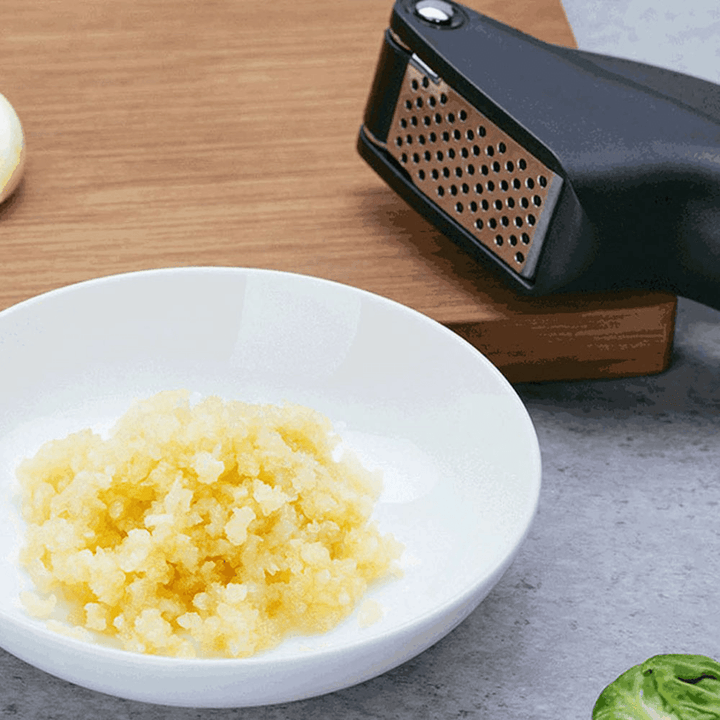 HUOHOU Kitchen Garlic Presser from Manual Garlic Crusher Kitchen Tool Micer Cutter Squeeze Tool Fruit & Vegetable Tools - MRSLM