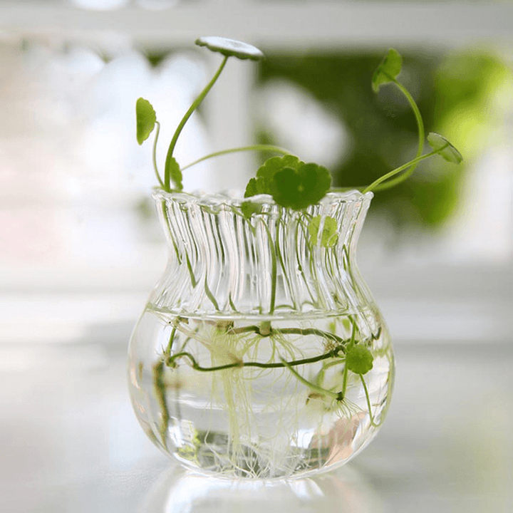 Hydroponic Plants Stripe Shape Glass Bottle Vase Home Garden Wedding Party Decoration - MRSLM