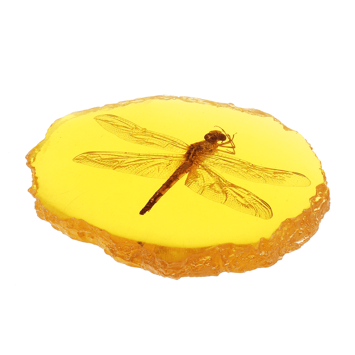 Amber Fossil Insects Dragonfly Manual Polishing Insect Specimen Pendant Craft Decorations - MRSLM