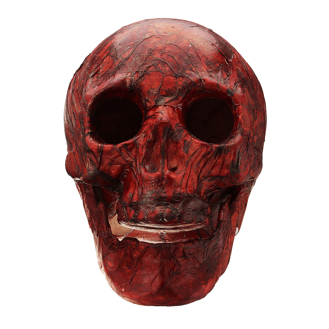 Halloween Human Skeleton Head Horror Scary Gothic Skull Prop Home Party Decorations - MRSLM