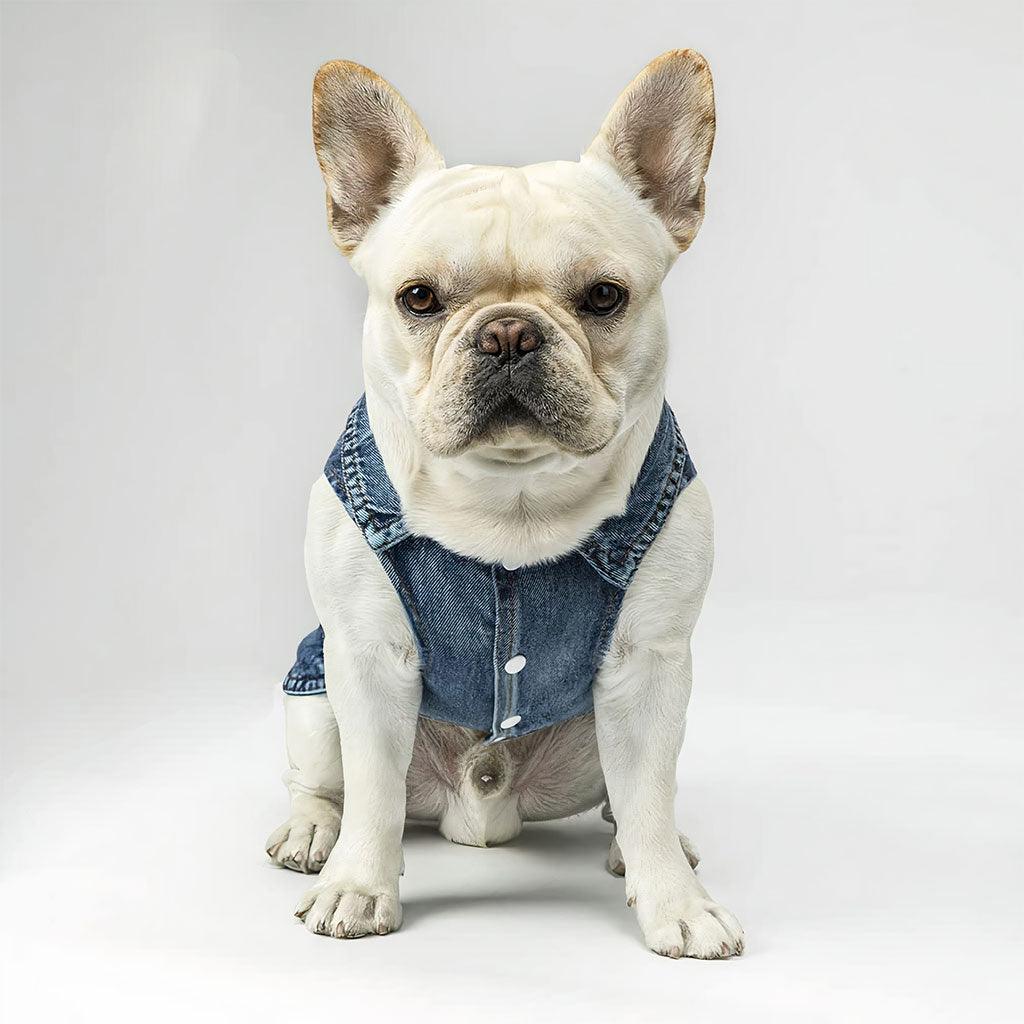 Super Dog Denim Vest - Colorful Dog Denim Jacket - Graphic Dog Clothing - MRSLM